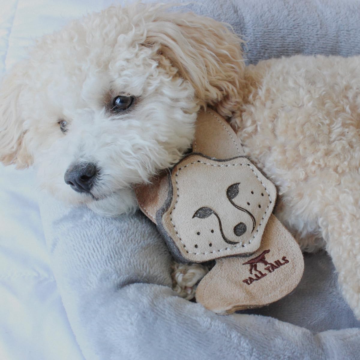 Tall Tails Scrappy Fetch Toy designed for small dogs up to 25 lbs