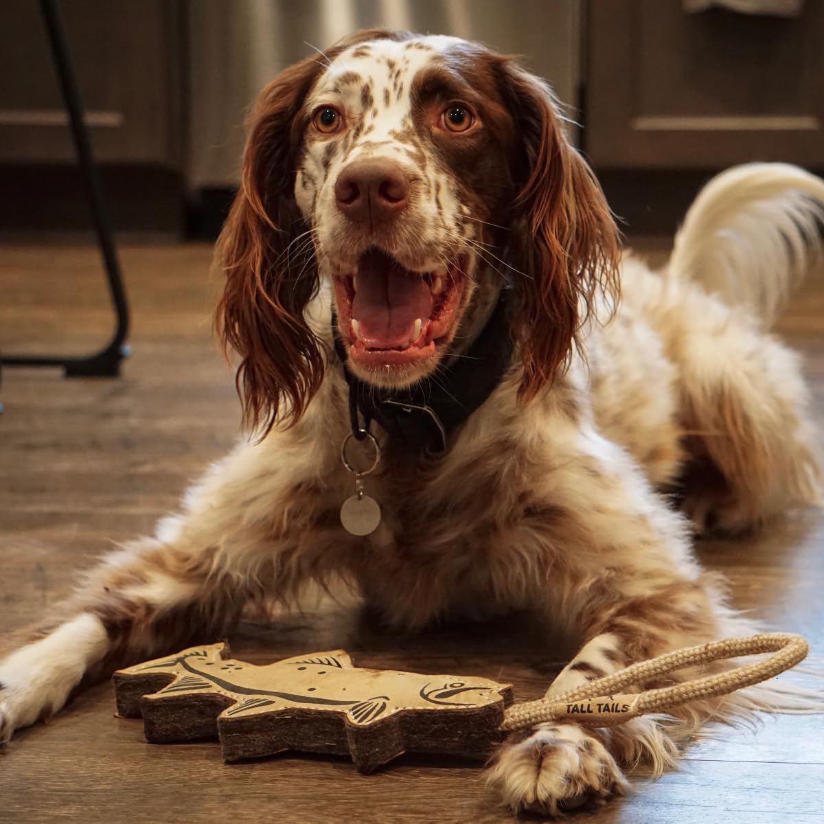 Tall Tails Trout Tug Toy measures 16 inches for medium to large dogs.