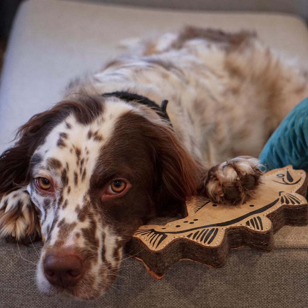 Tall Tails Trout Tug Toy ready for supervised playtime and active learning.