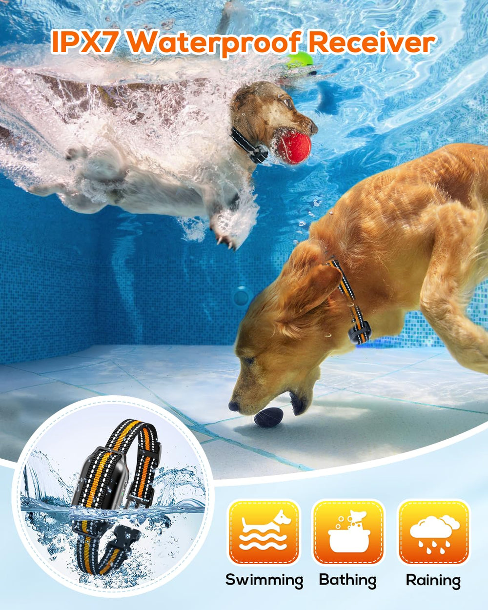 Tallentrol IPX7 waterproof dog collar for all-weather use.