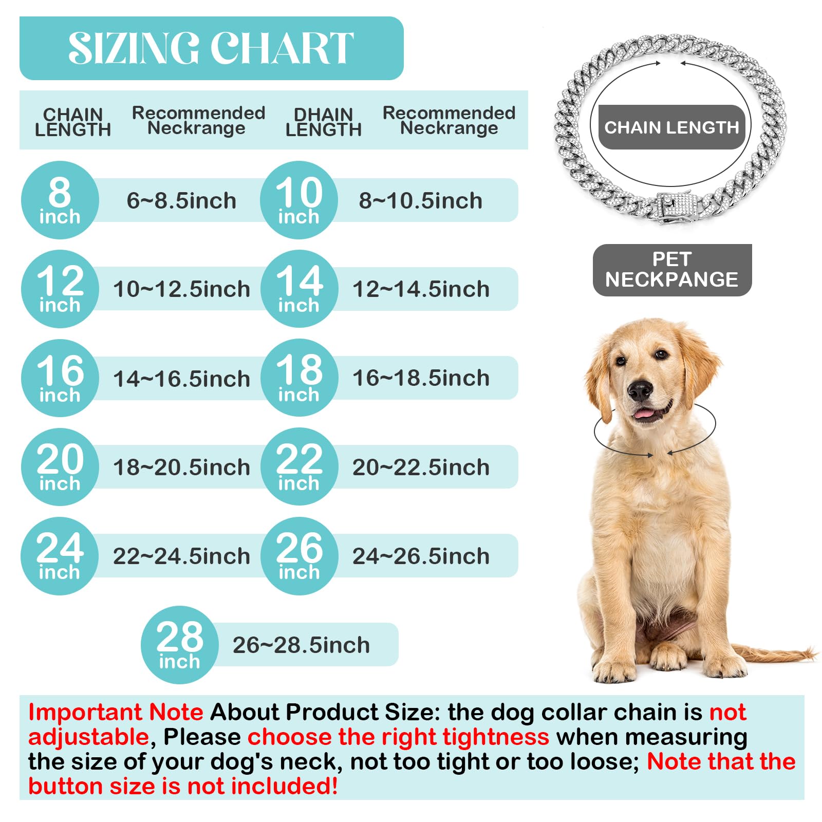 Tallew dog collar chain detail highlights zirconia diamonds and smooth surface for comfortable fit