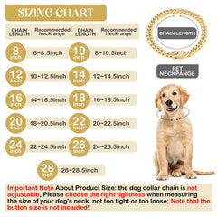 Tallew Gold Dog Chain Collar buckle detail highlights secure fastening for safe walks.