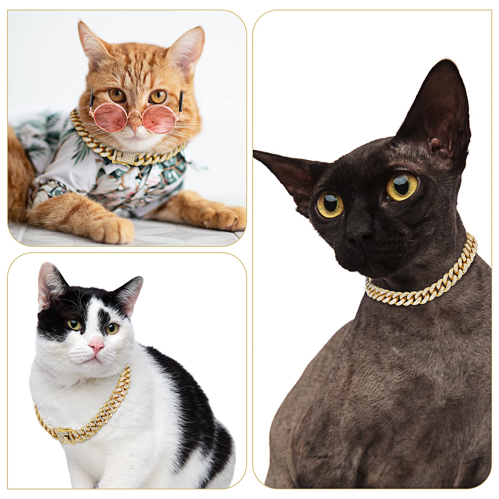 Tallew Gold Dog Chain Collar on cat demonstrates versatile pet accessory option.