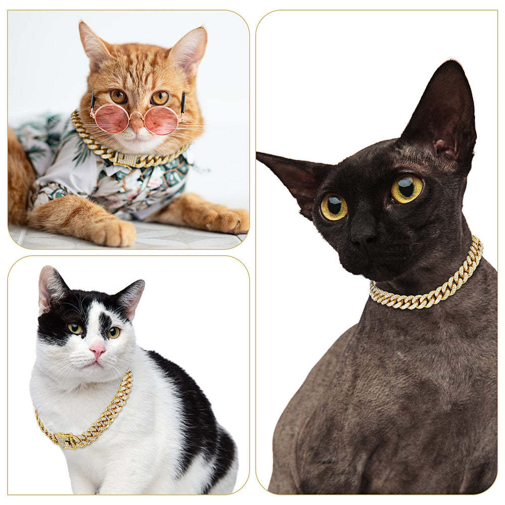Tallew Gold Dog Chain Collar on cat demonstrates versatile pet accessory option.