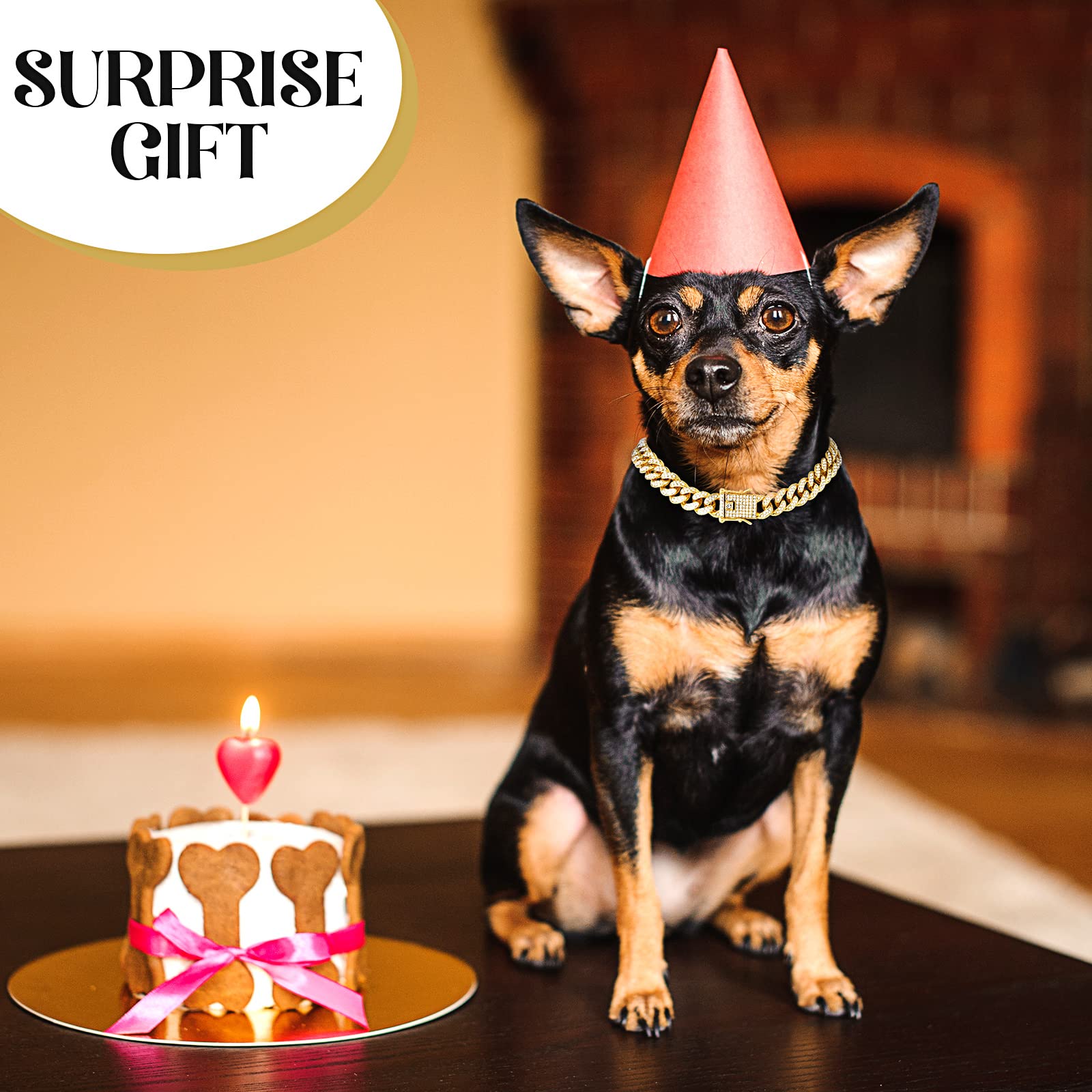 Tallew Gold Dog Chain Collar packaging image highlights gifting appeal.