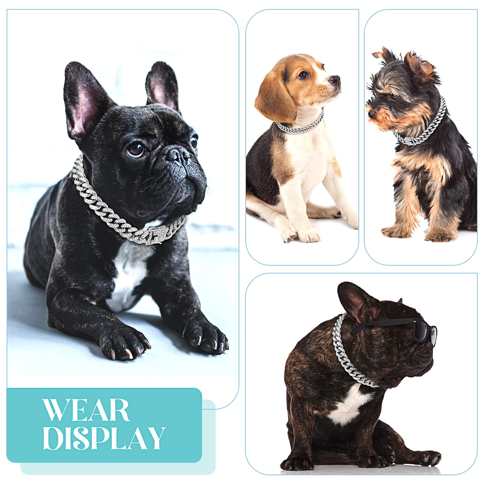 Tallew sparkling collar on medium dog suggests a stylish gift option