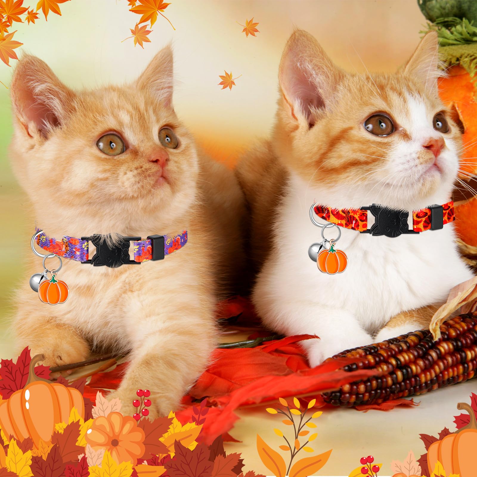 Talltalk cat-collar collection doubles as a charming photo prop and gift idea.