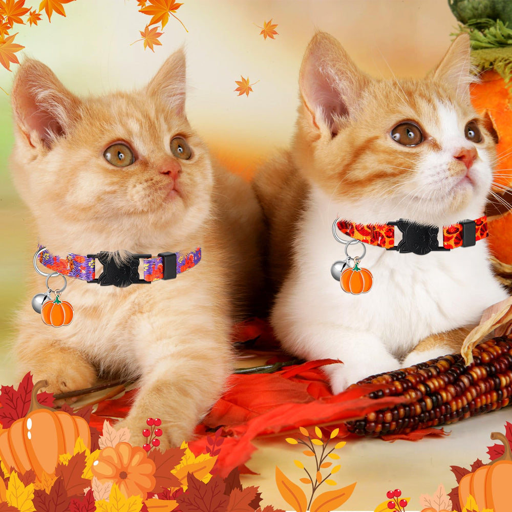 Talltalk cat-collar collection doubles as a charming photo prop and gift idea.