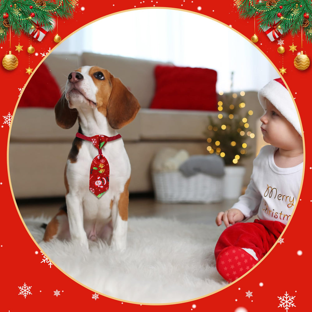 Talltalk Christmas pet accessories image demonstrates versatile party-ready items.