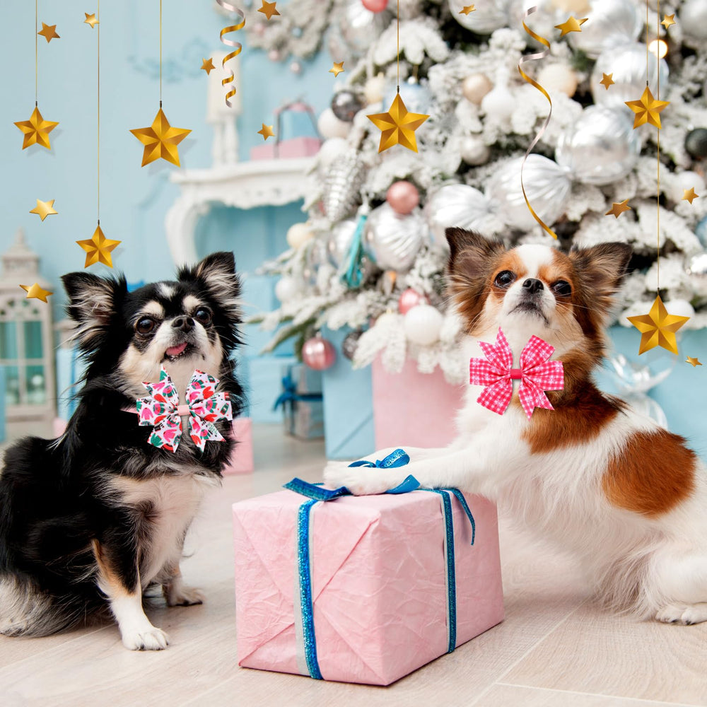 Talltalk dog bows set provides versatile styles for daily wear and parties.