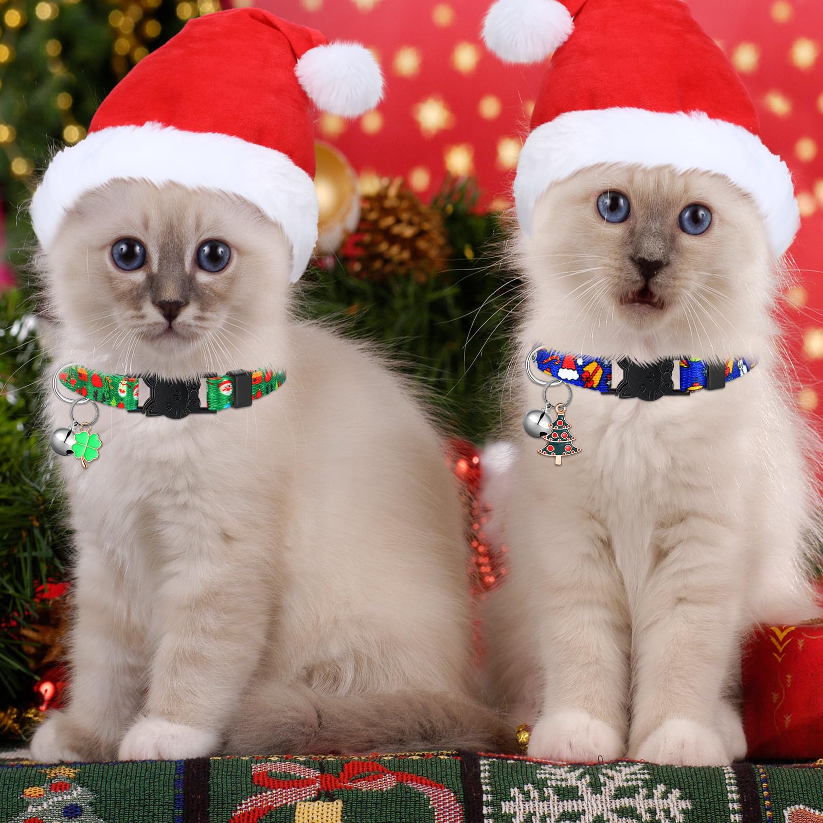 Talltalk Valentine-pattern collar accents hearts and pink tones for cute holiday looks.