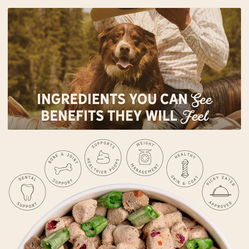 Tally's Ranch dog bowl topper serving demonstrates easy mixing