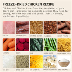 Tally's Ranch real chicken chunks close-up highlights protein-rich feeding option