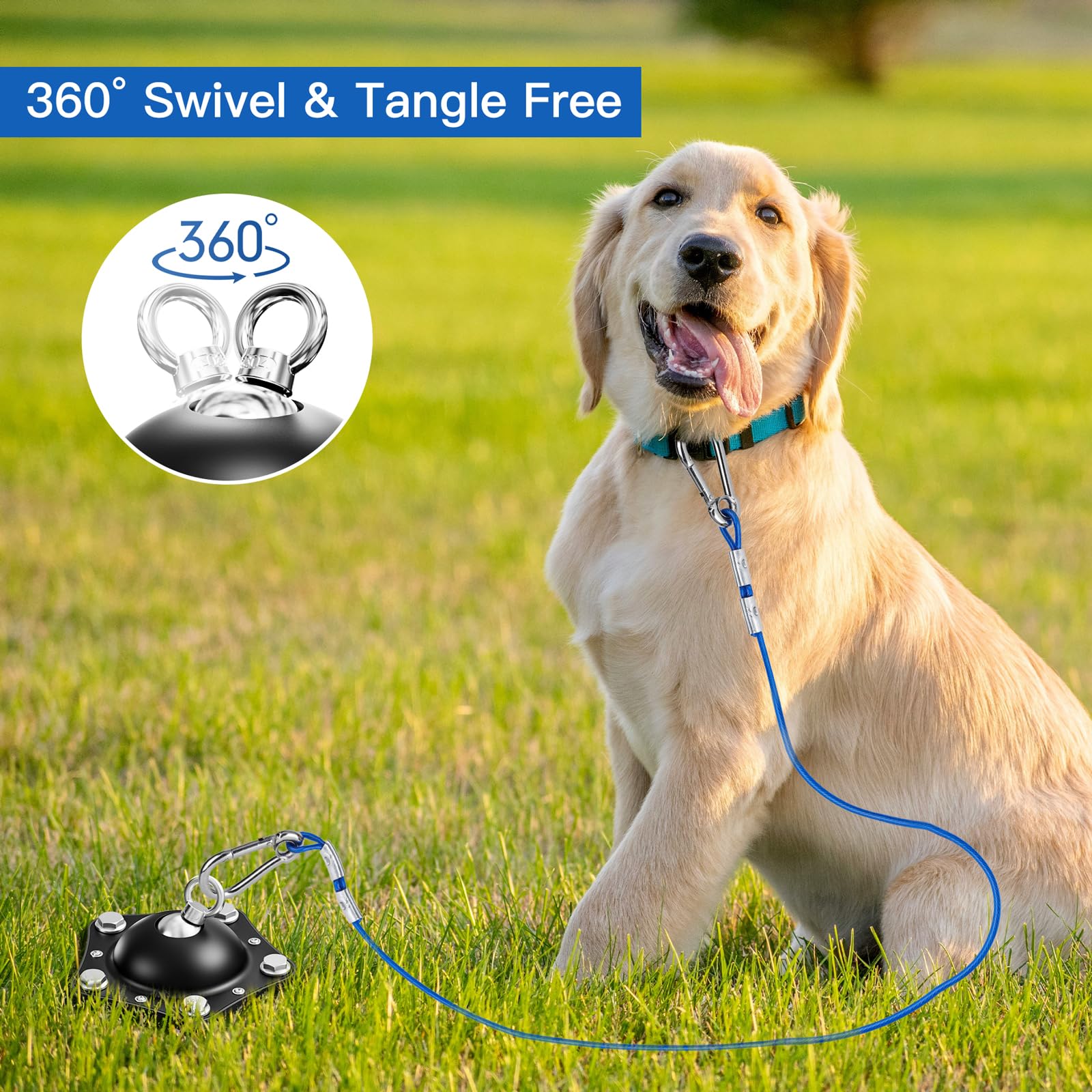 TAMABABY camping setup with dog running freely on a sturdy yard tie-out.