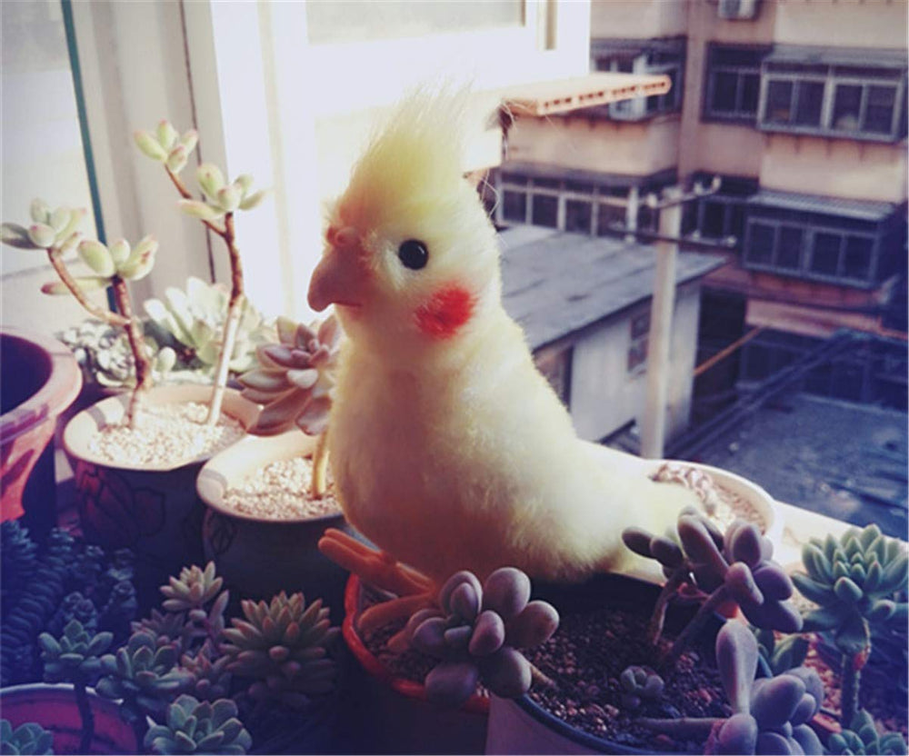 Tammyflyfly cockatiel plush displayed on shelf for collector-worthy decor