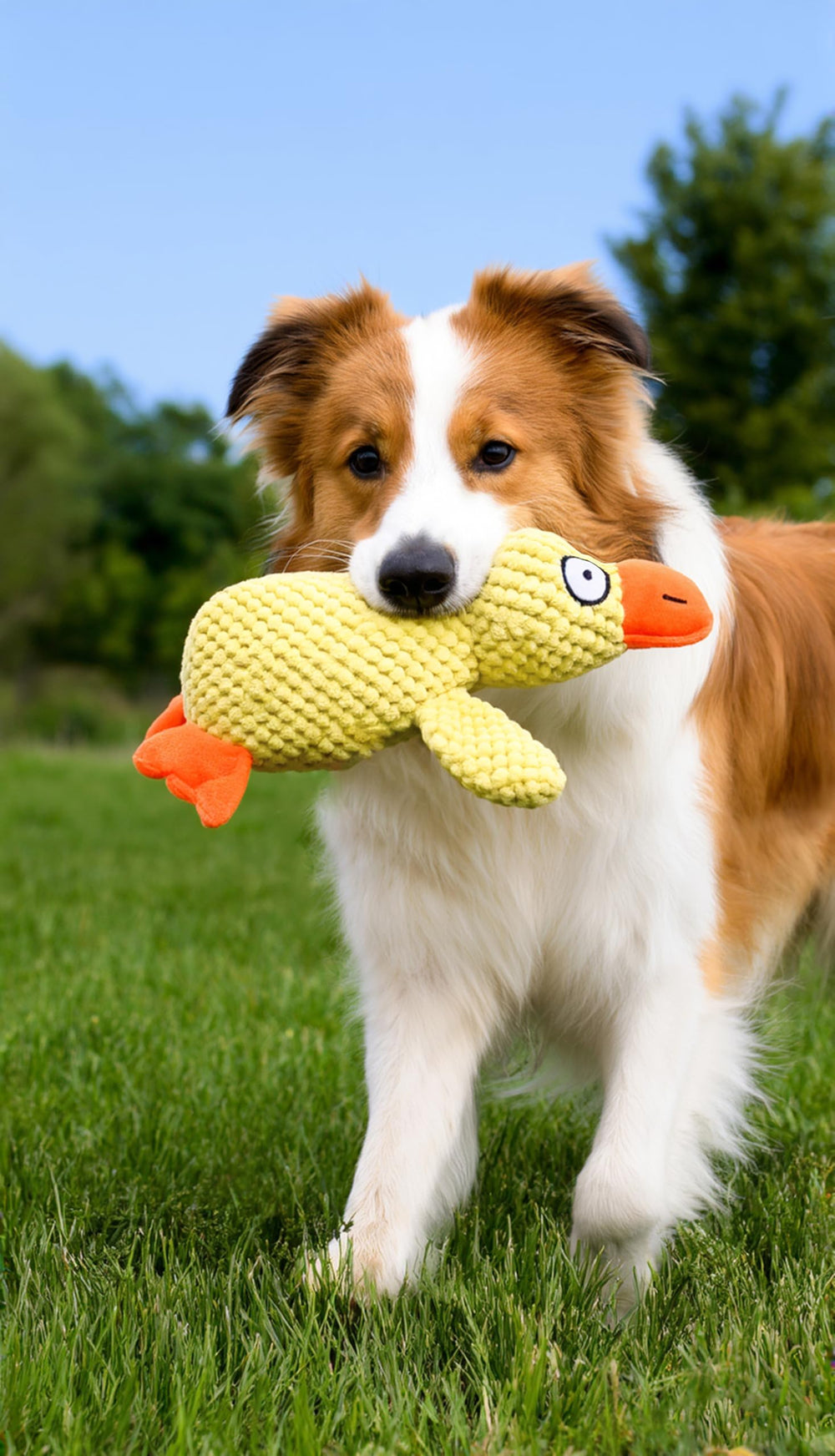 Tamu style Calming Yellow Duck Toy size 11-inch fits small and medium dogs.