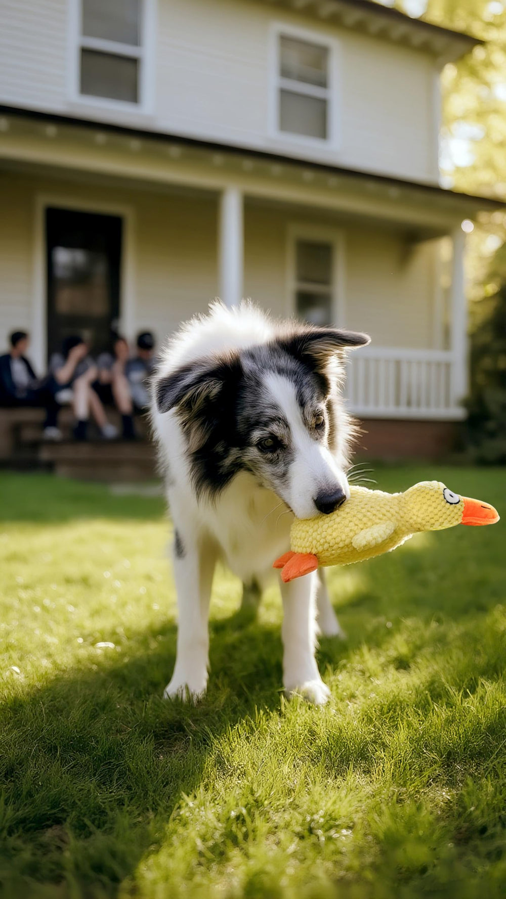 Tamu style Calming Yellow Duck Toy not ideal for aggressive chewers.
