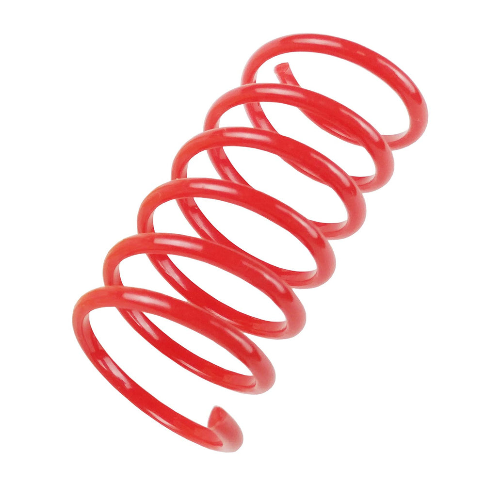 Tamu Style Cat Spring Toys multicolor coils boost colorful, engaging play sessions.