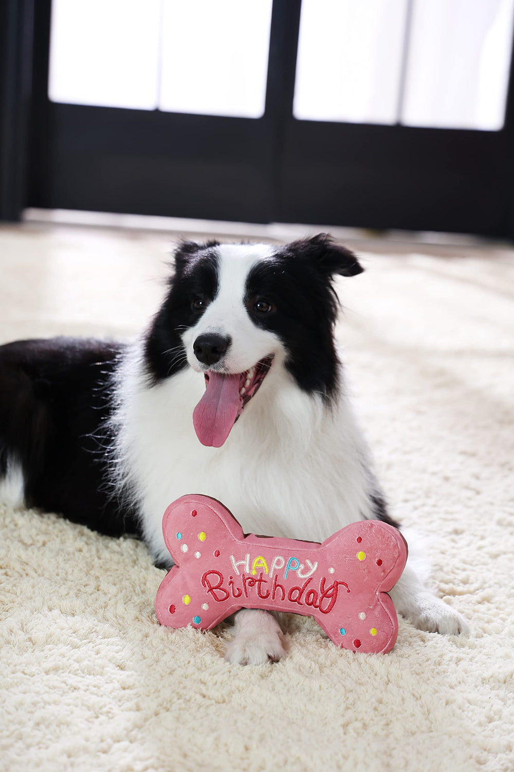 Tamu style dog birthday gift toy brings festive vibes to celebrations and daily play.