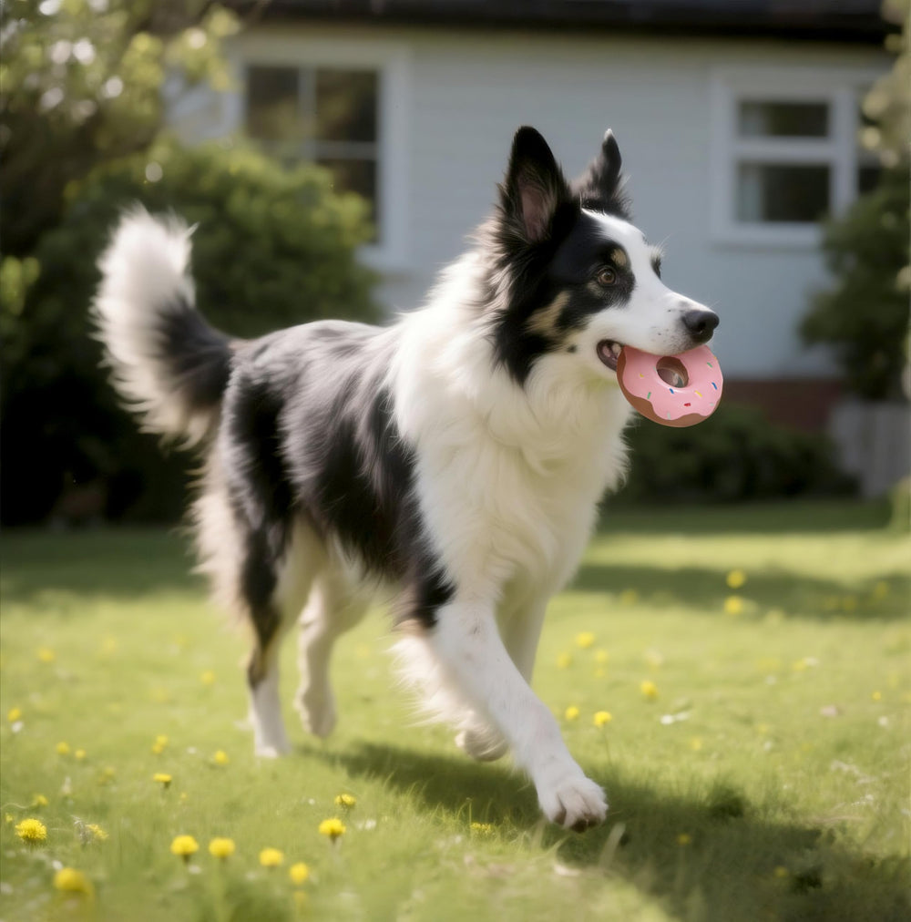 Tamu Style Donut Dog Toy not for aggressive chewers for safe fun