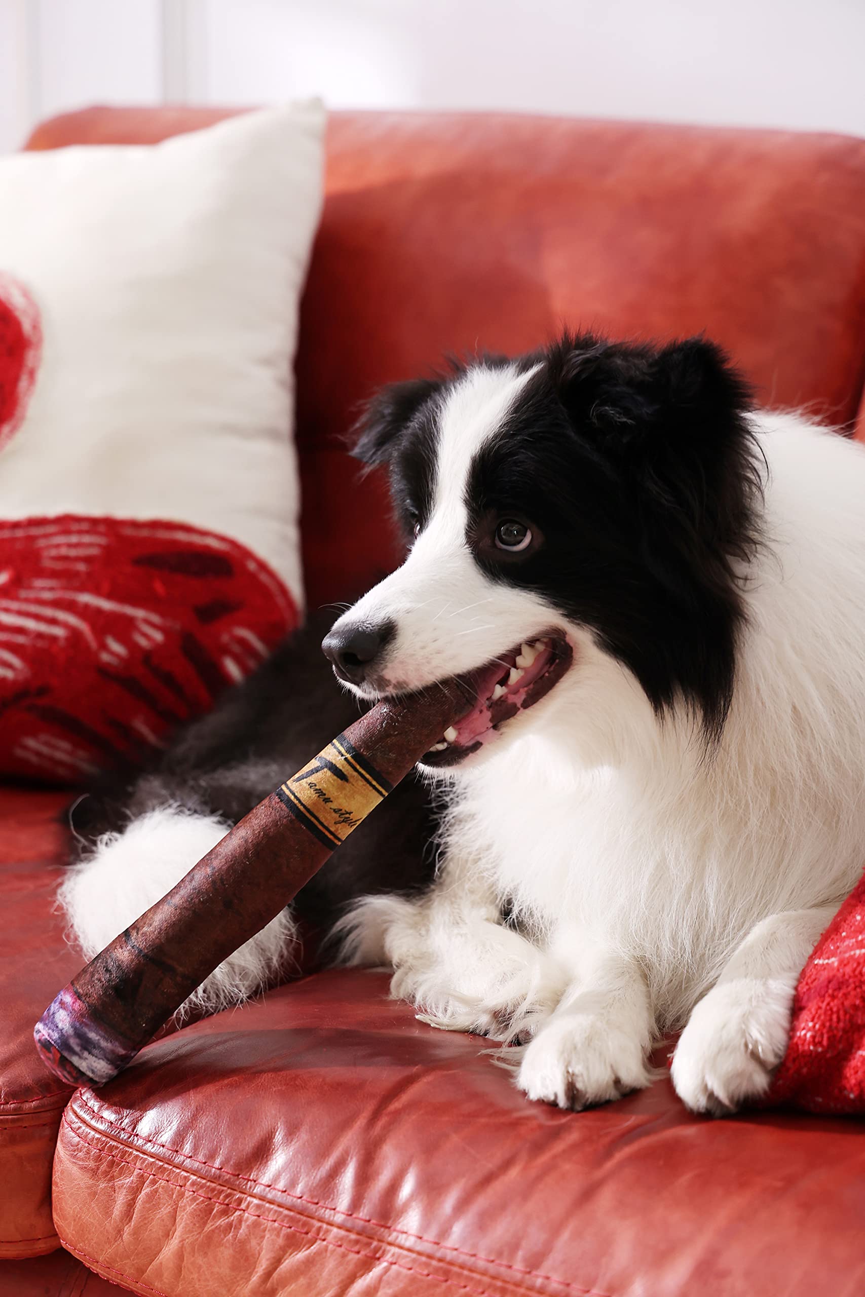 Tamu style lightweight design for portable indoor adventures