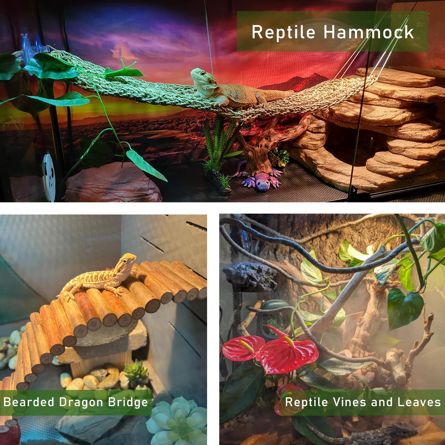 TankMatDecor bendable bridge adds climbing challenge and exploration space in habitat.