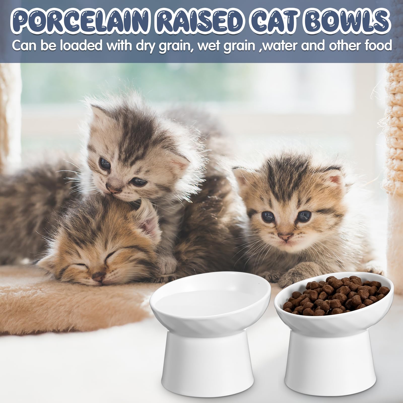 Tanlade indoor pet feeding set ideal for kittens and puppies