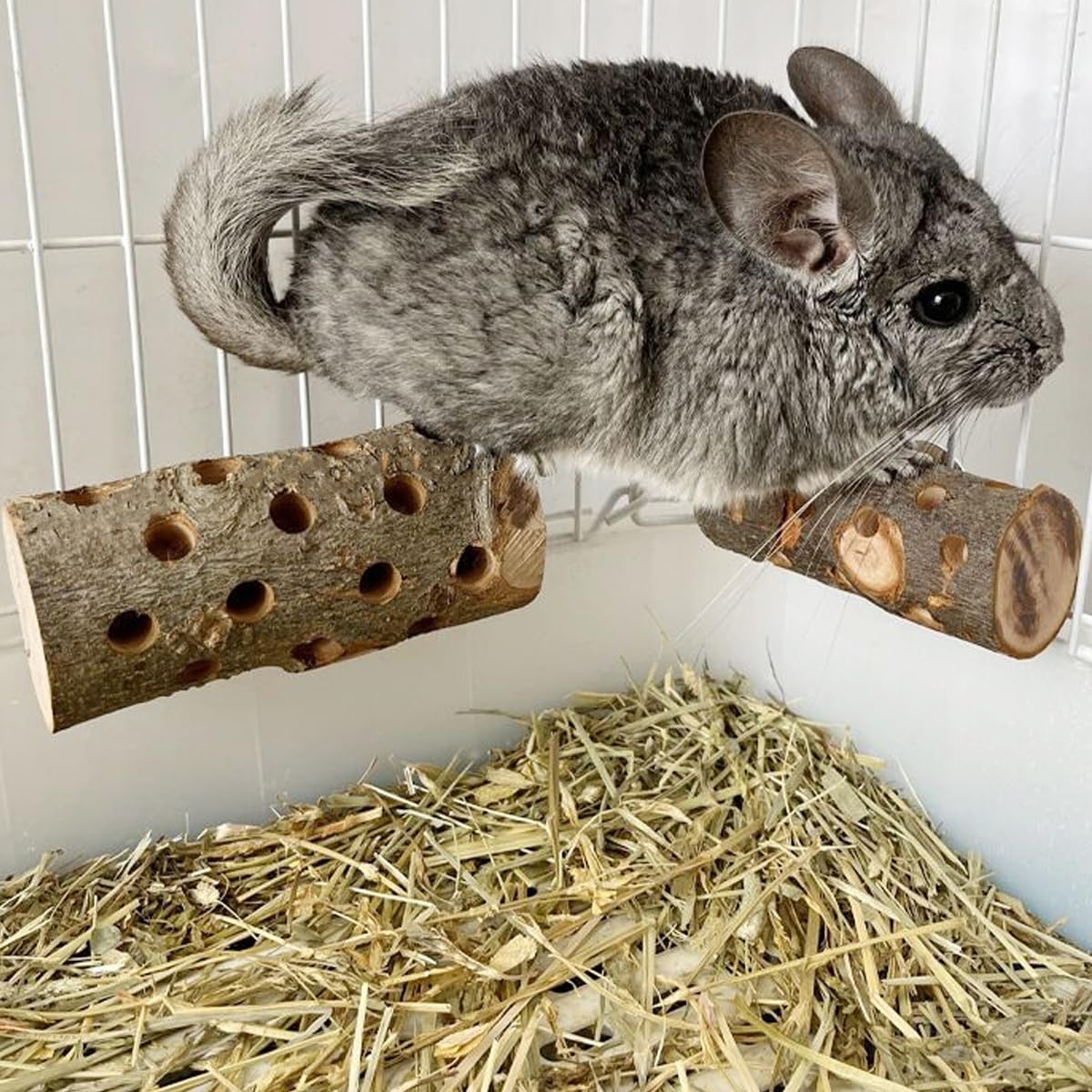 TANOMA Apple Wood enrichment-toy: natural, safe play for rabbits, hamsters, and other small pets.
