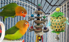 TANOMA foraging-behavior close-up demonstrates shredding and exploration.