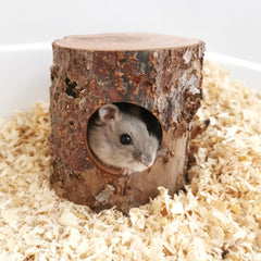 TANOMA Habitat House Hideout front view shows sturdy apple wood for a safe pet retreat.
