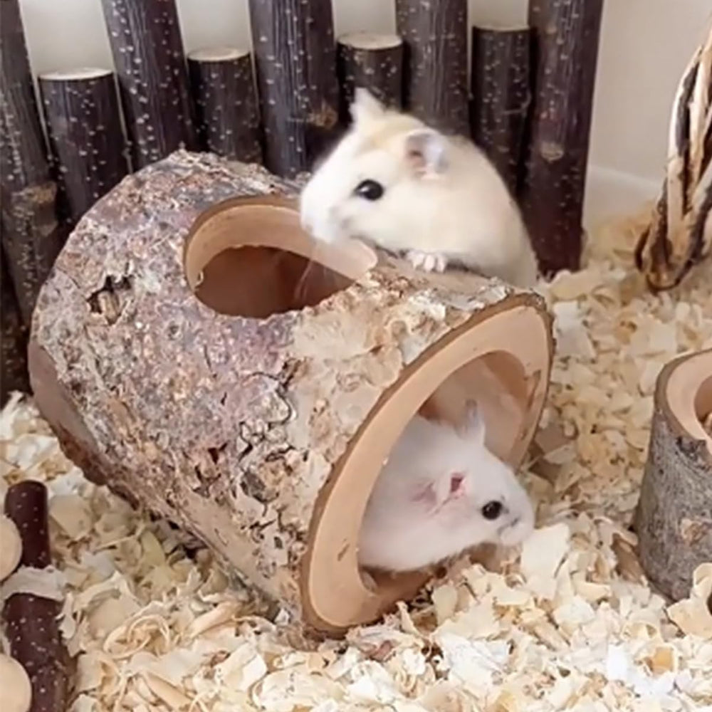 TANOMA Habitat House Hideout interior reveals a cozy space for hiding, resting, and gnawing.