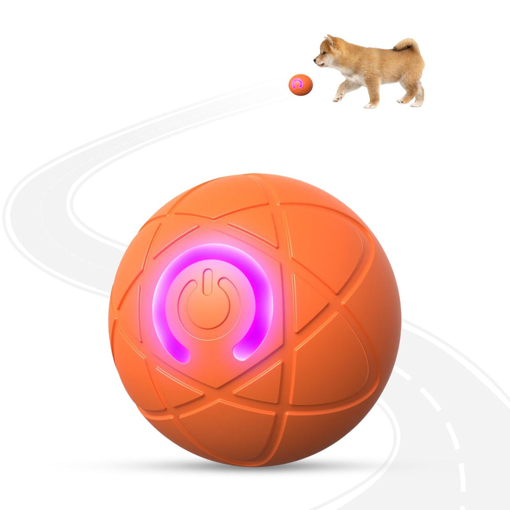 Tantanle interactive dog ball with smart auto-bounce for energetic small dogs.