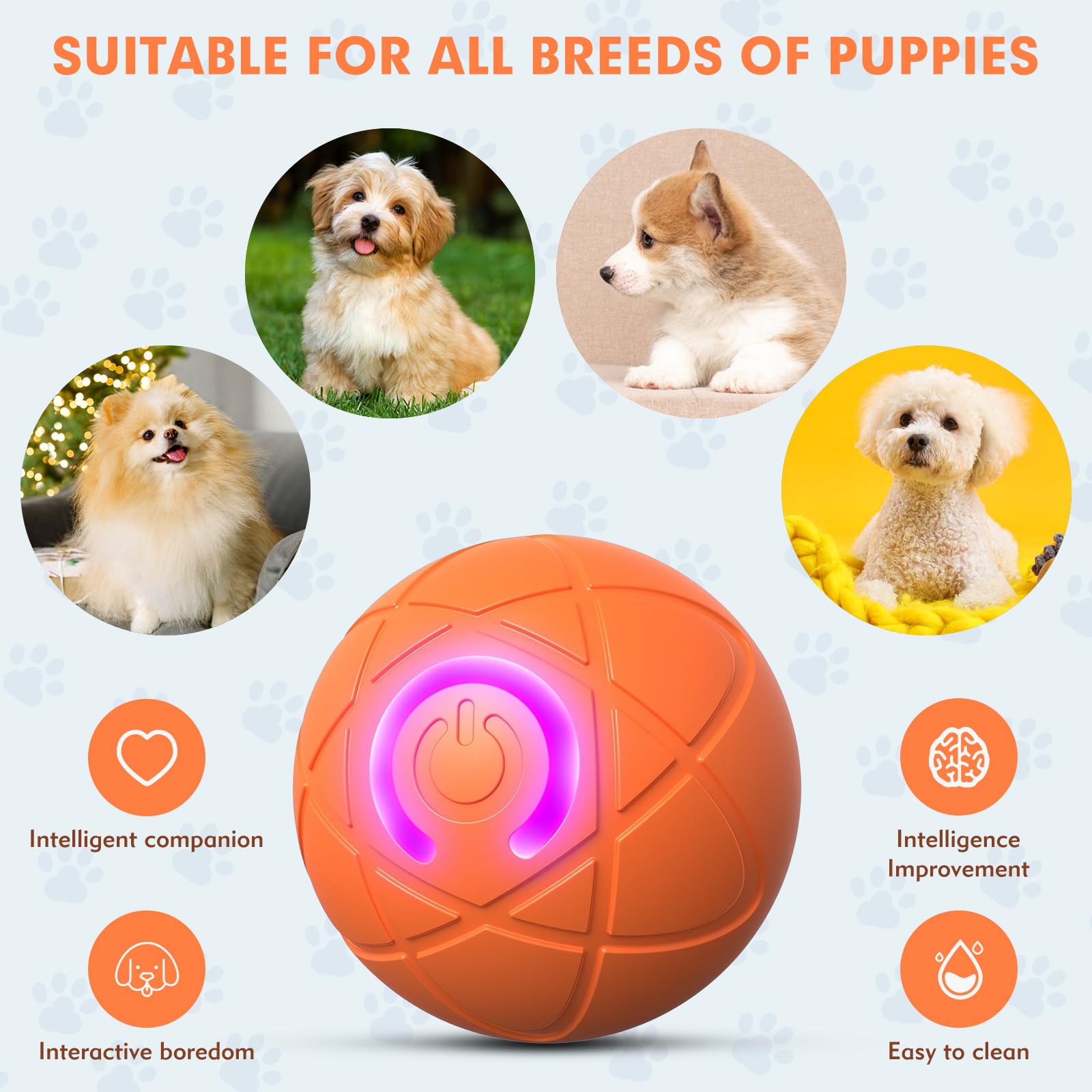 Tantanle LED light-up dog ball for visible evening play and stimulation.