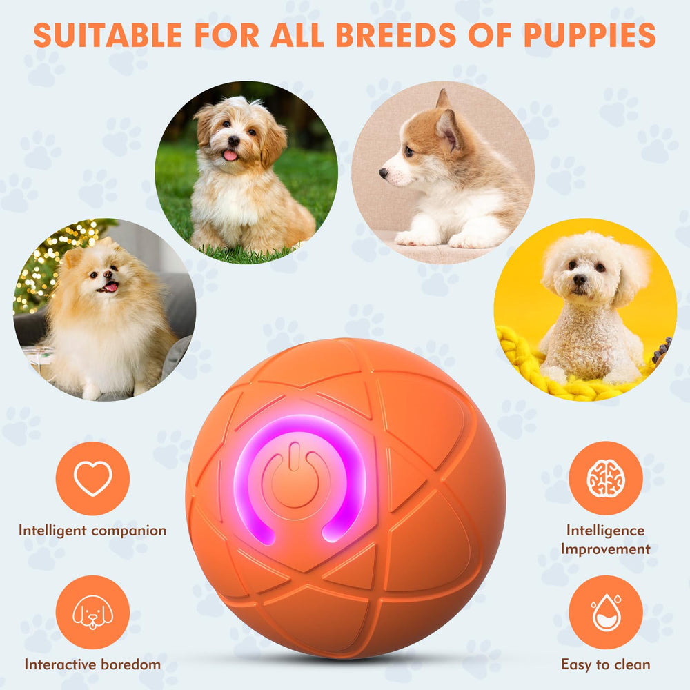 Tantanle LED light-up dog ball for visible evening play and stimulation.