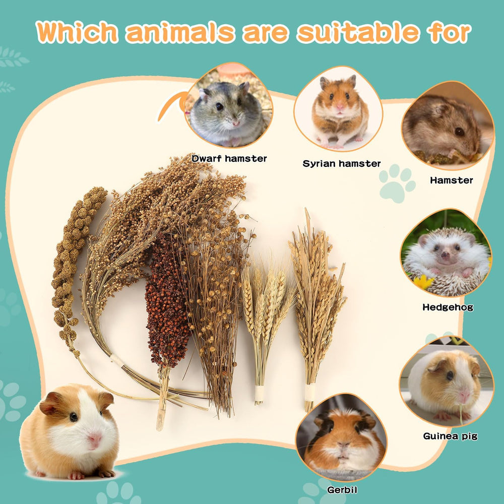 TAOKEKE hamster spray set habitat decoration creates a natural-looking cage environment