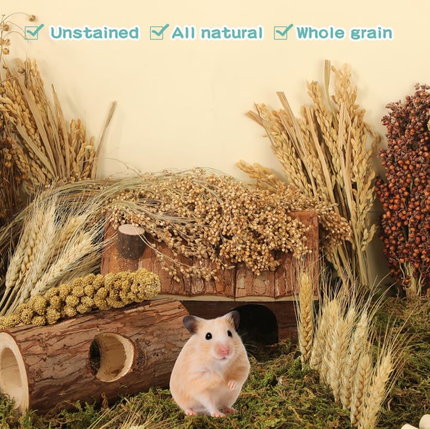 TAOKEKE hamster spray set ideal for Syrian hamsters and other small pets