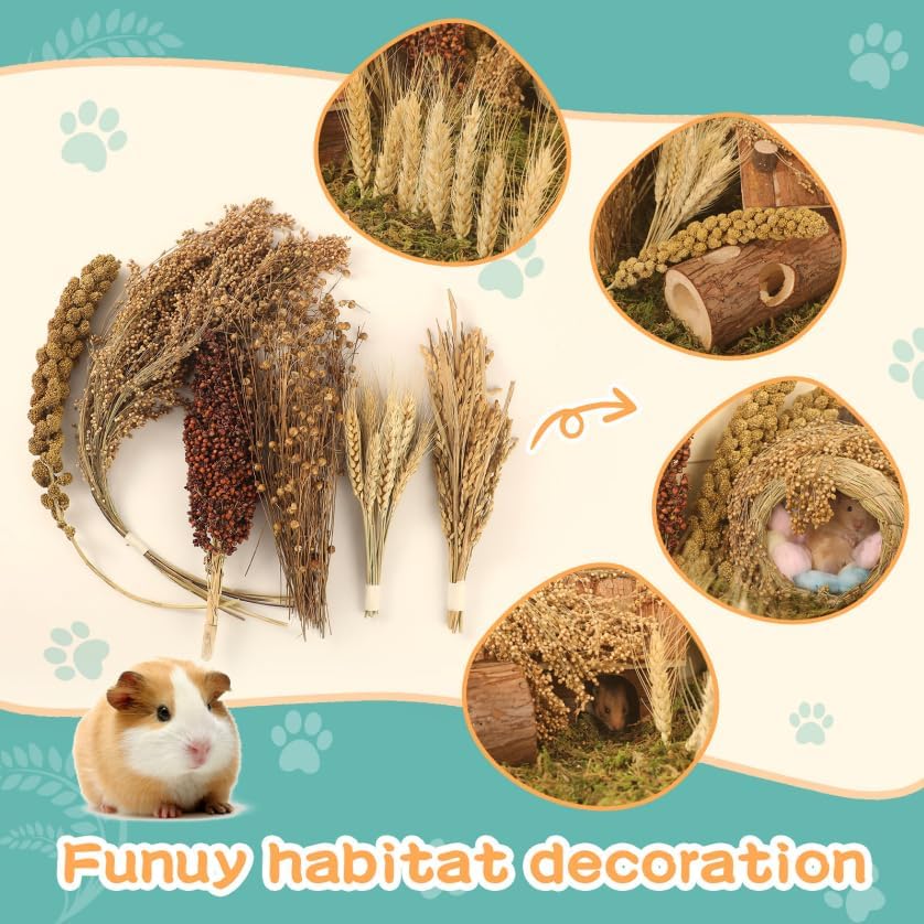 TAOKEKE hamster spray set panicle adds natural bedding decoration and cozy nests
