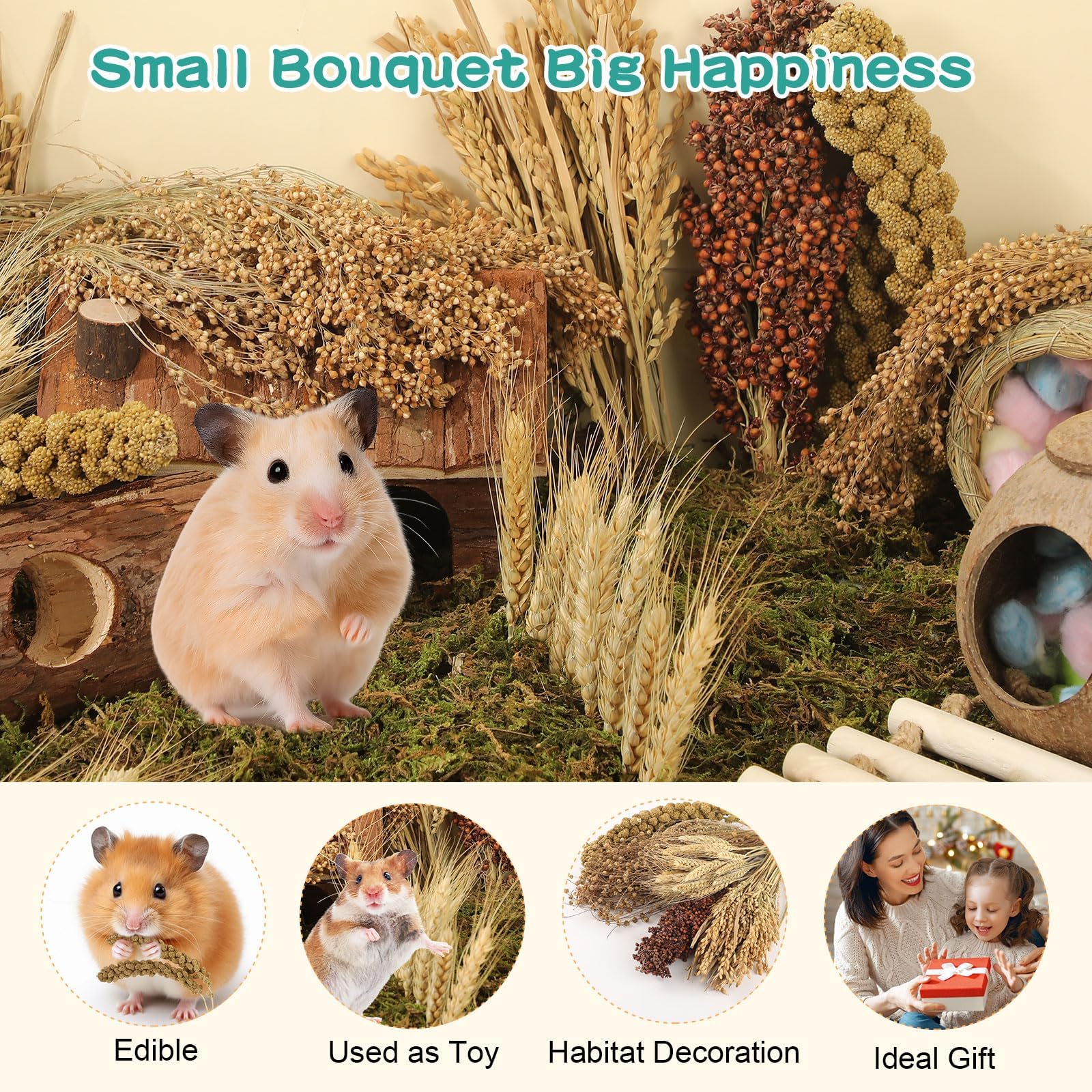 TAOKEKE hamster spray set sorghum millet supporting diverse foraging opportunities