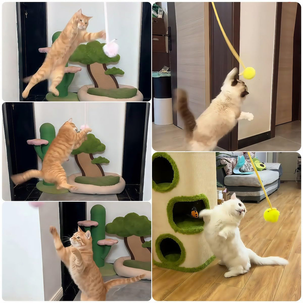 taoleon leaping cat spring toy kitten play energizes indoor cats with motion