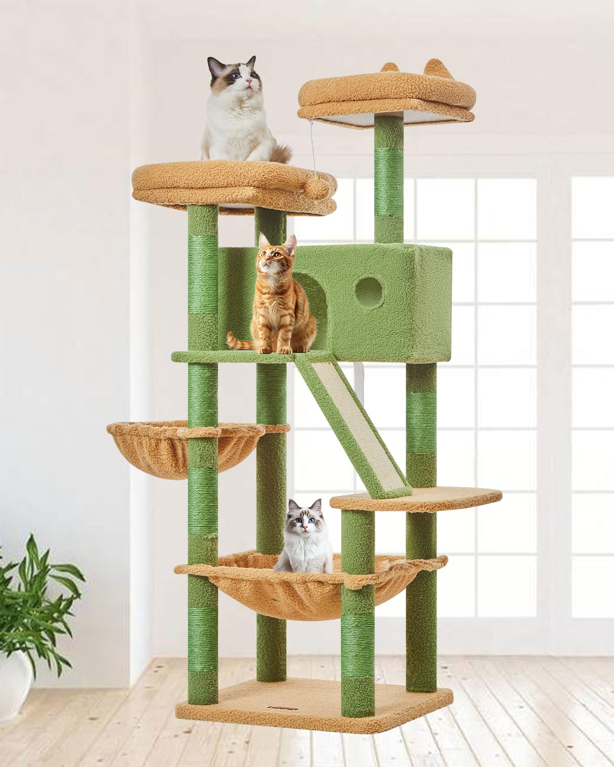 Taoqimiao cactus cat tree top perch offers elevated views for curious cats