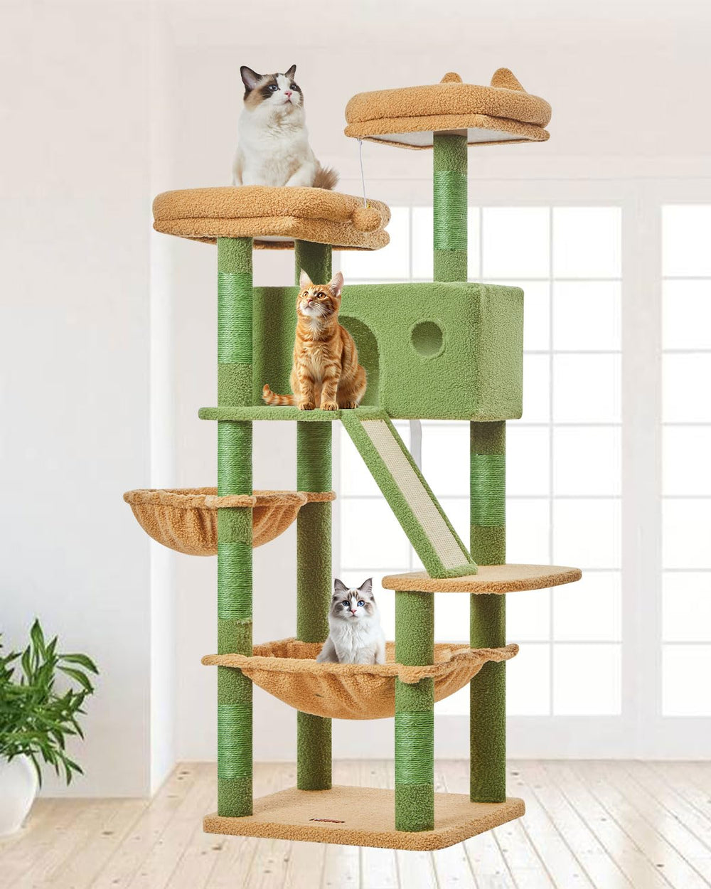 Taoqimiao cactus cat tree top perch offers elevated views for curious cats