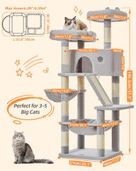 Taoqimiao cat condo on the unit creates a private retreat.