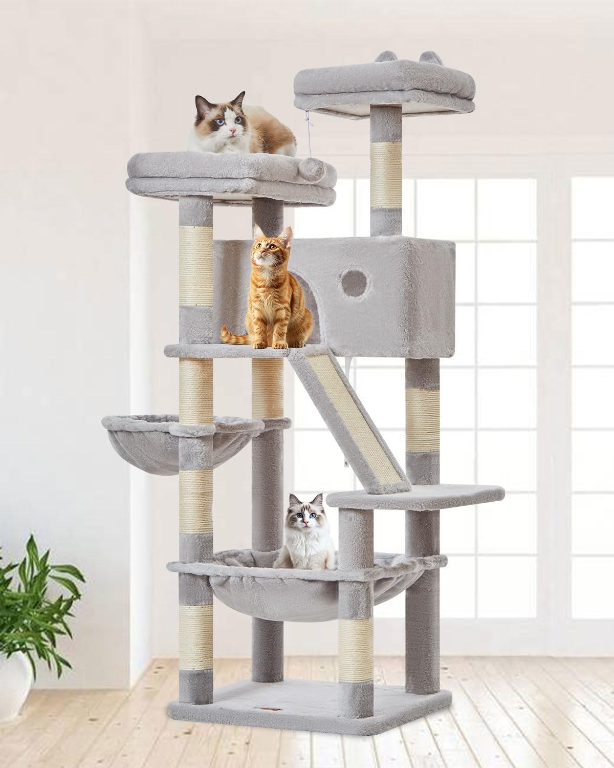 Taoqimiao cat tree 57.5-inch top perch for elevated views and calm observation.