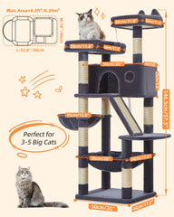 Taoqimiao Cat Tree top perch framed for scenery watching and relaxation.