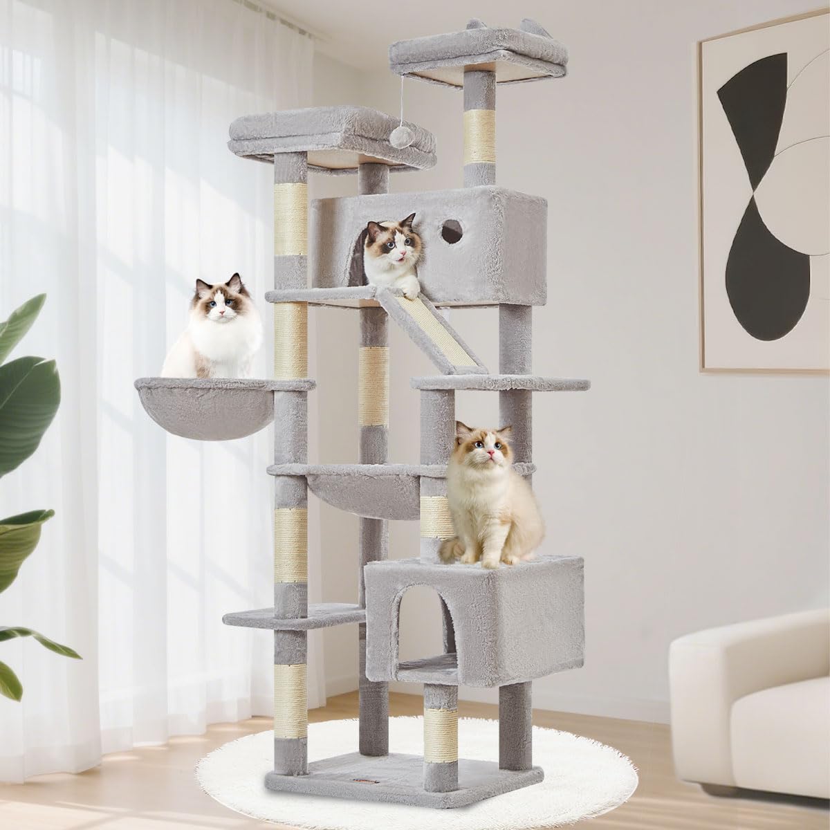 Taoqimiao cat tree 71-inch top perch view provides elevated vantage for curious cats.