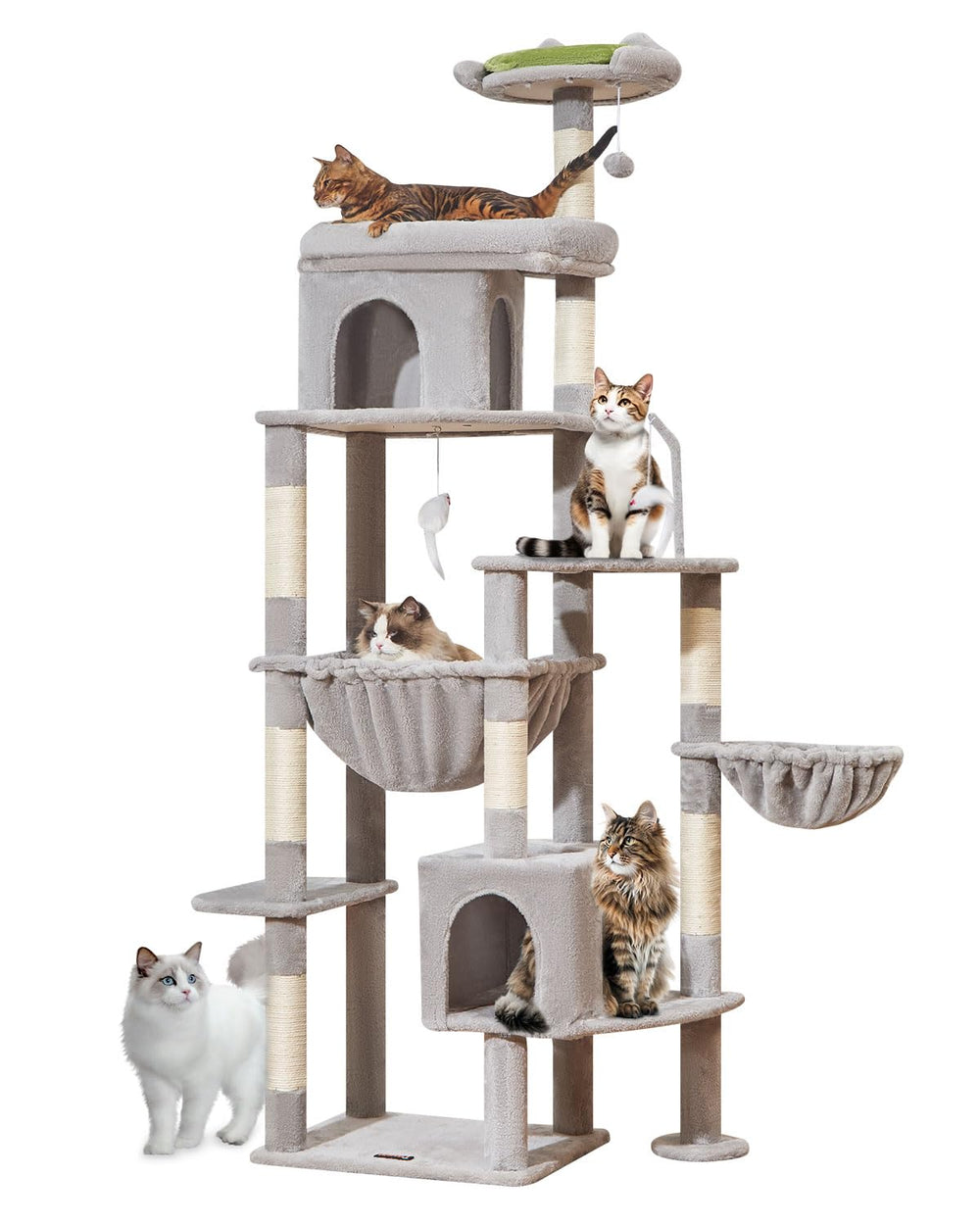 taoqimiao simple assembly guides quick setup for a new cat space.