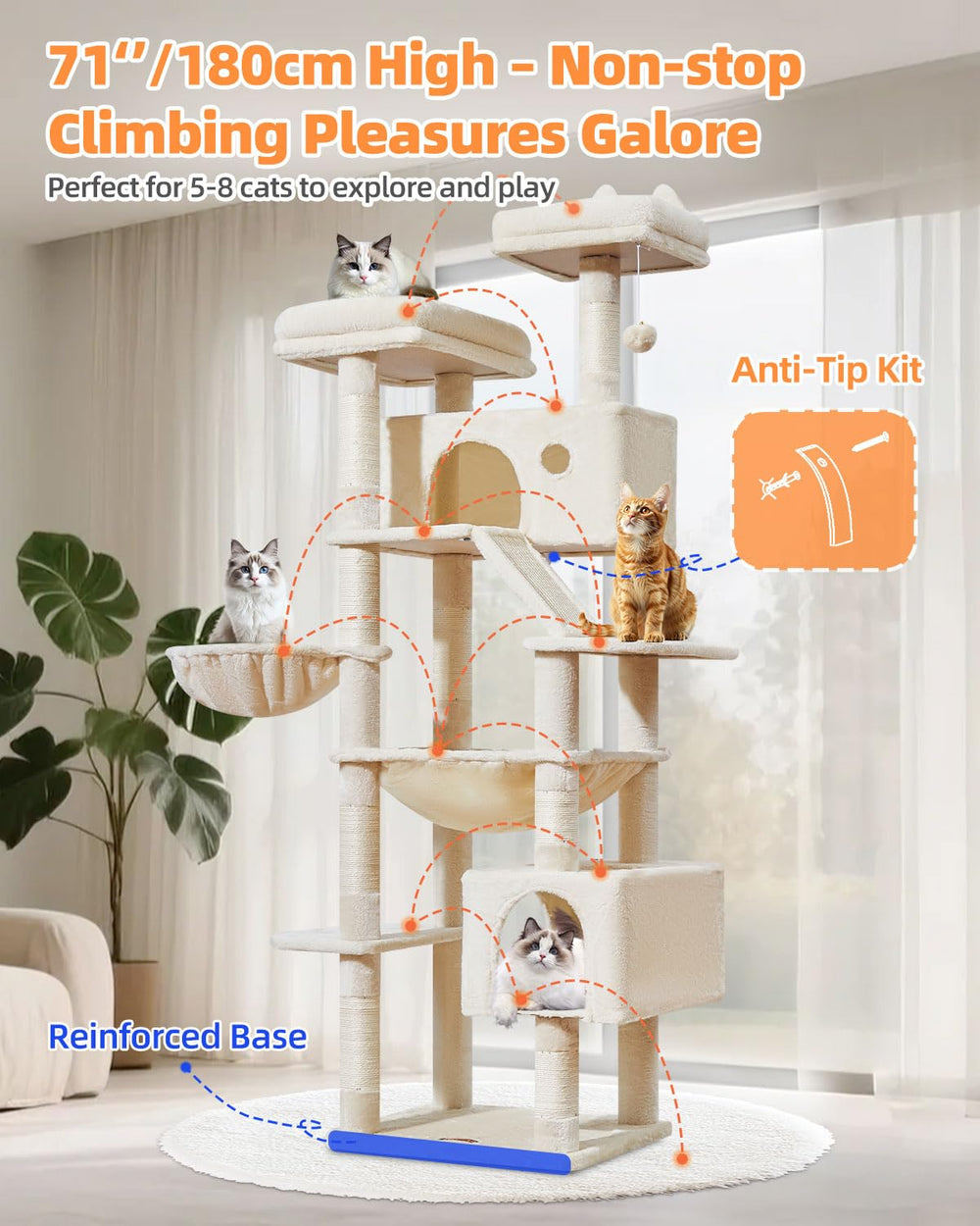 Taoqimiao detachable top eases cleaning and setup