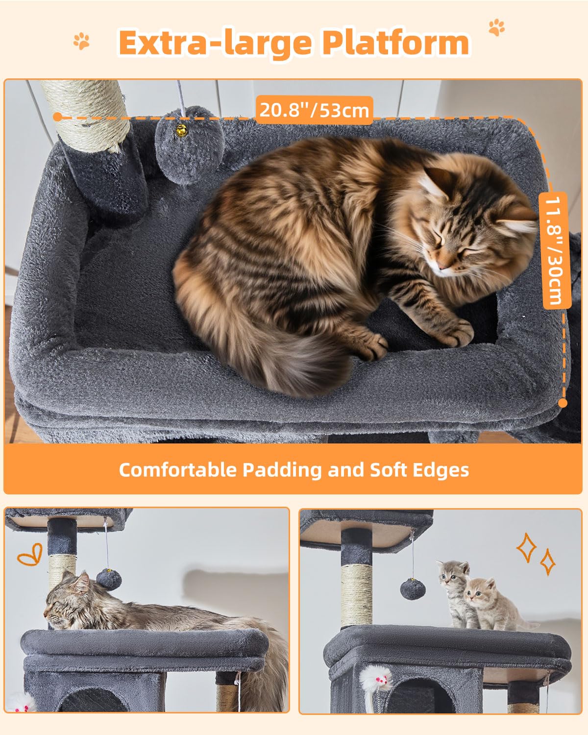 Taoqimiao oversized platform demonstrates comfortable lounging for adult big cats.