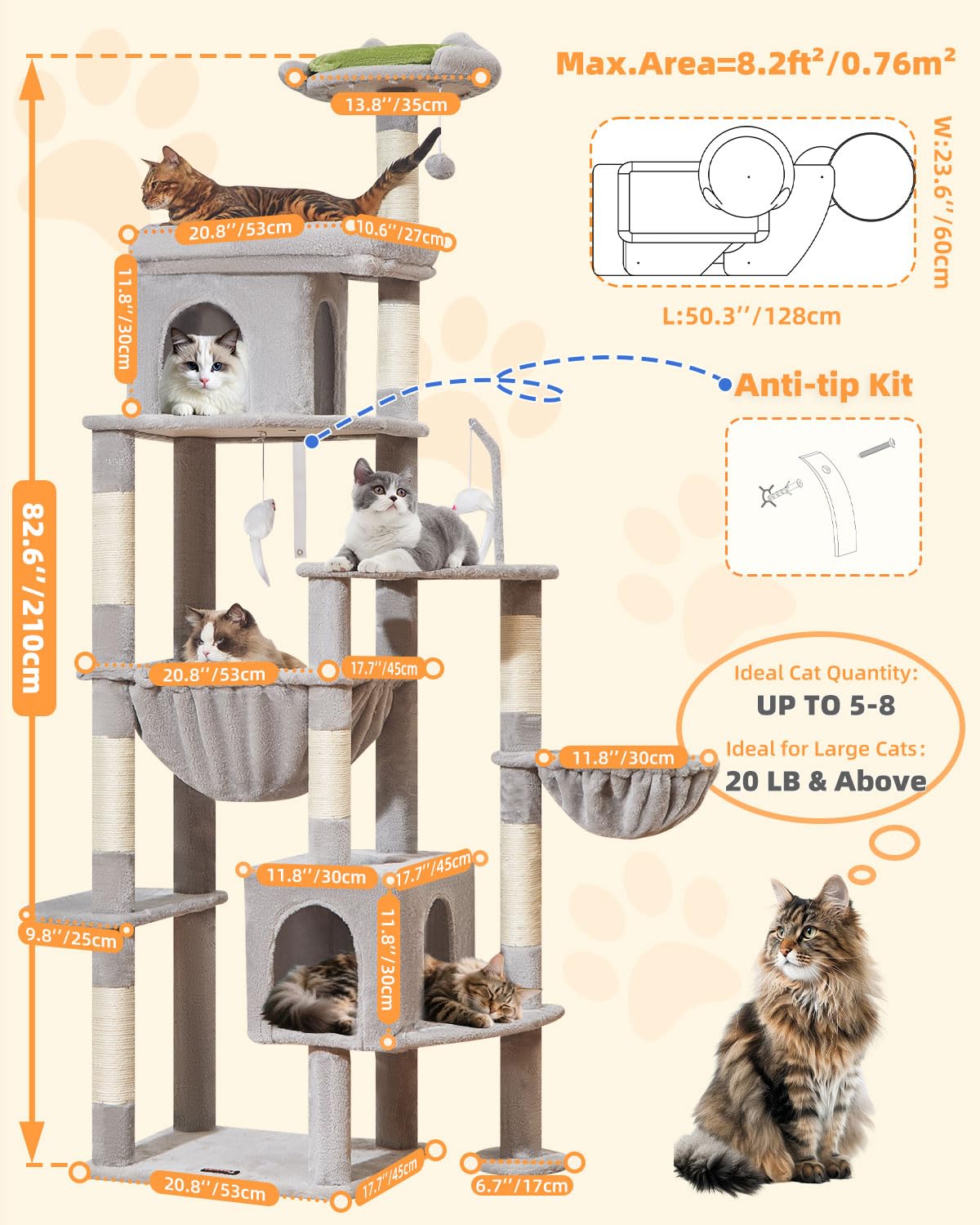 taoqimiao two-perchs offer sunny elevated lounging spots for big cats.