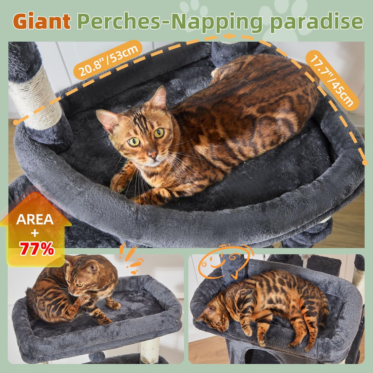 Taoqimiao widened resting condo for large cats' roomy naps.
